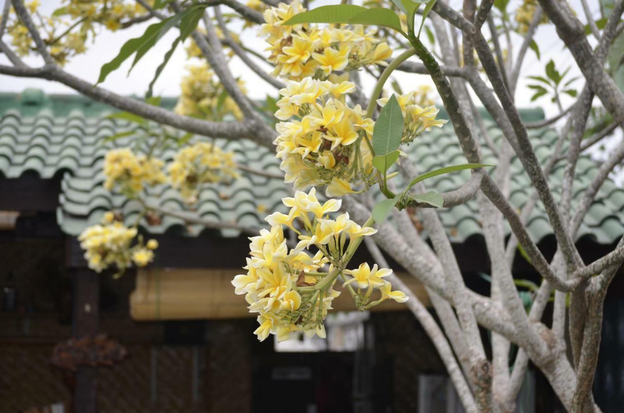 Villa Yukie Senggigi Montongbuwoh Kültér fotó